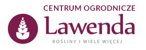 Lawenda logo